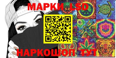 мдпв Кингисепп