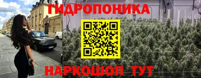 эйфоретик Кимры