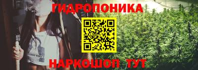 эйфоретик Кимры