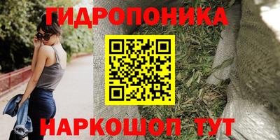 ешки Кинель