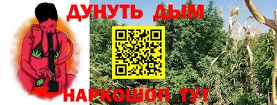 мдпв Кингисепп