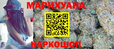 мдпв Кингисепп