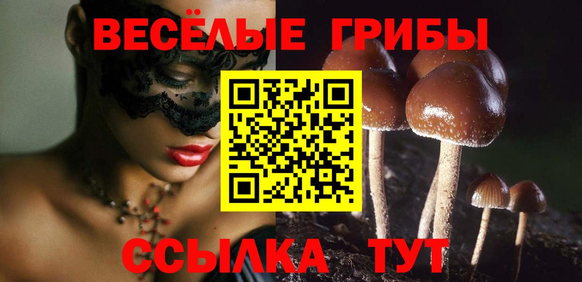 Галлюциногенные грибы мицелий Кириши
