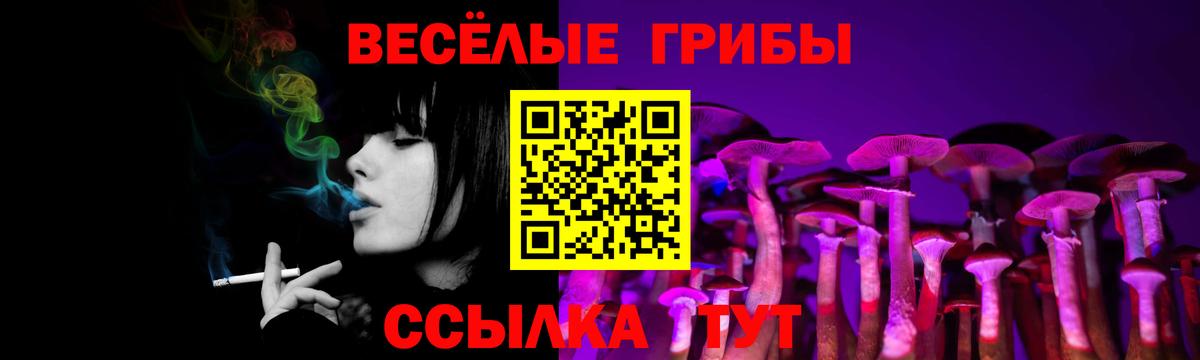 Лсд 25  Cocaine  Меф МЯУ МЯУ кристаллы  ЭКСТАЗИ  Кириши  Каннабис  МЕФ  Гашиш  Вход с VPN 